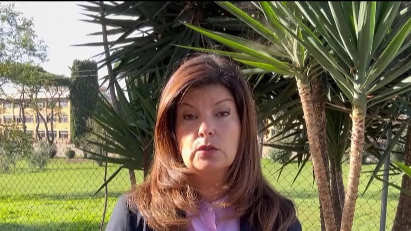 A szélsőbaloldali EP-képviselő ismét Orbán Viktor kormányfőt kritizálta + videó