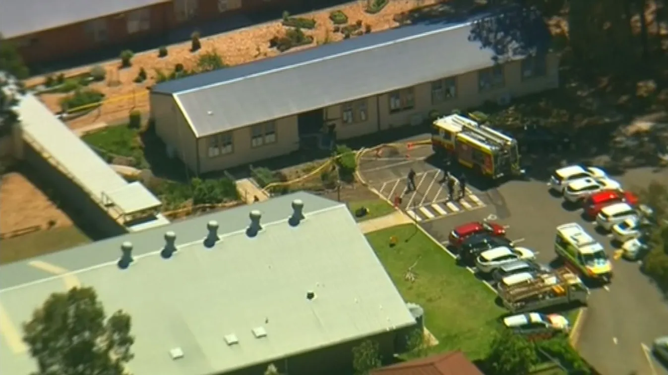 Gázolás Ausztráliában