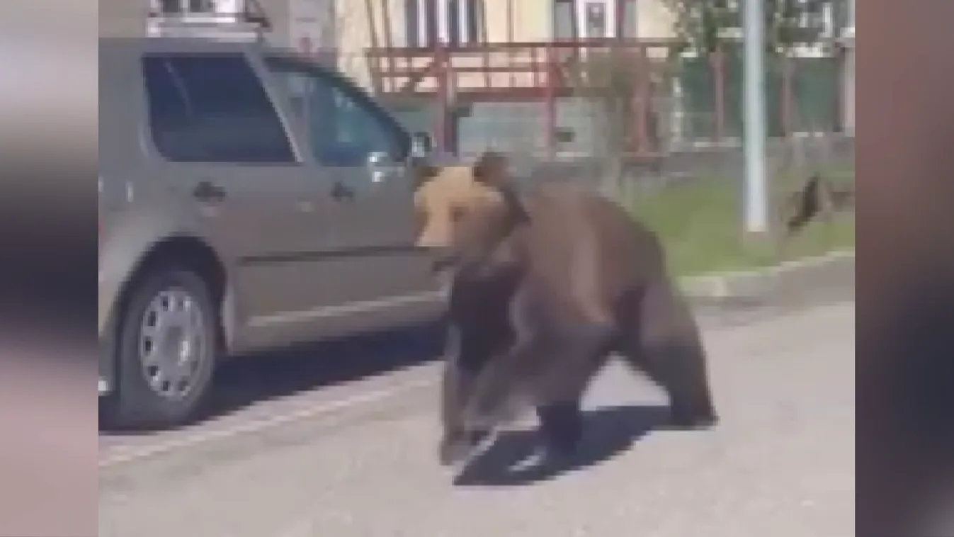 Radar - Prédává váltak az emberek Szlovákiában + videó