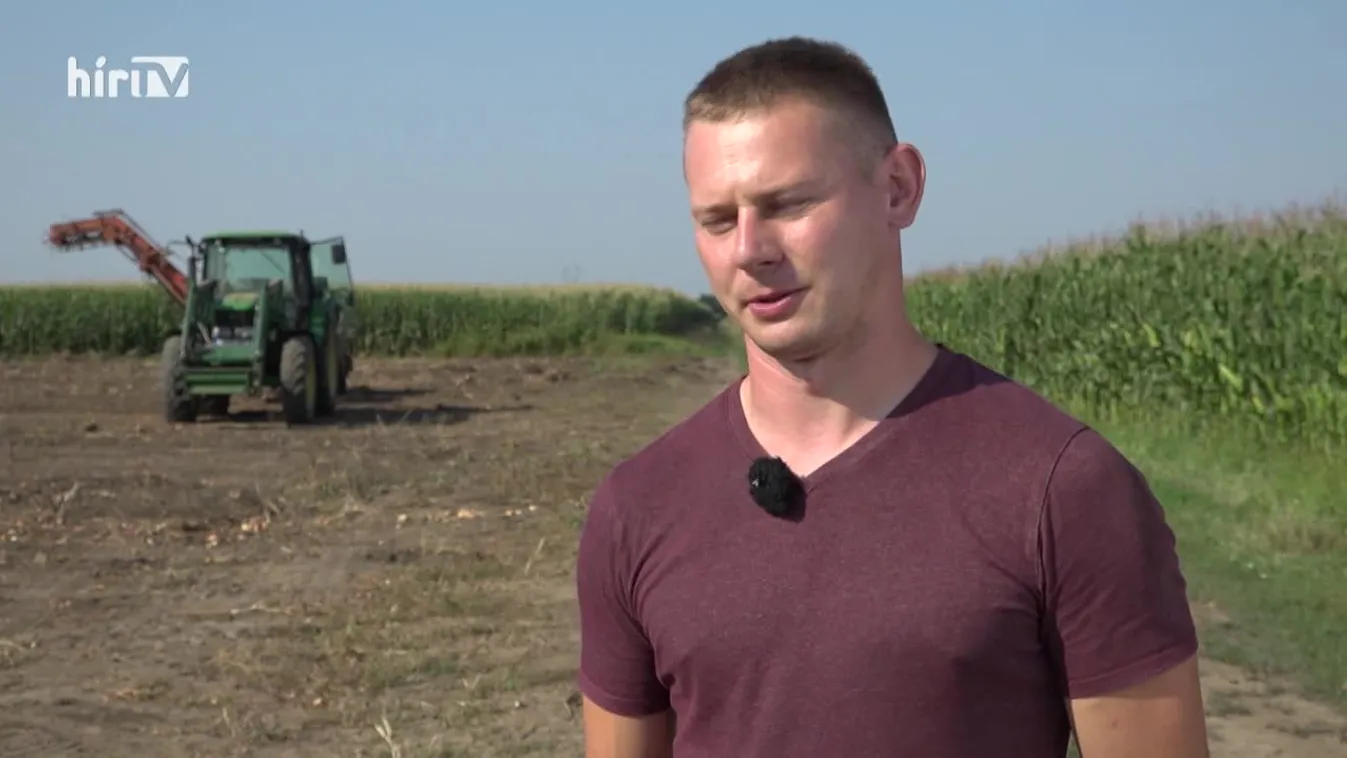 Soroló: Mezőgazdaságunk egyik legnevesebb terméke a makói vöröshagyma