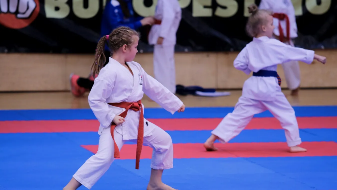 Budaörsi SC karate szakosztály – Befutó Szabad stílus