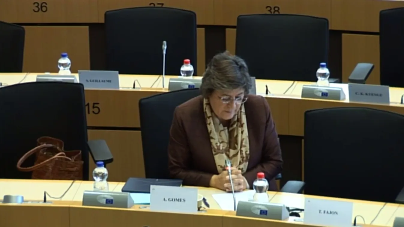 Humanitárius vízum bevezetését javasolja a LIBE bizottság