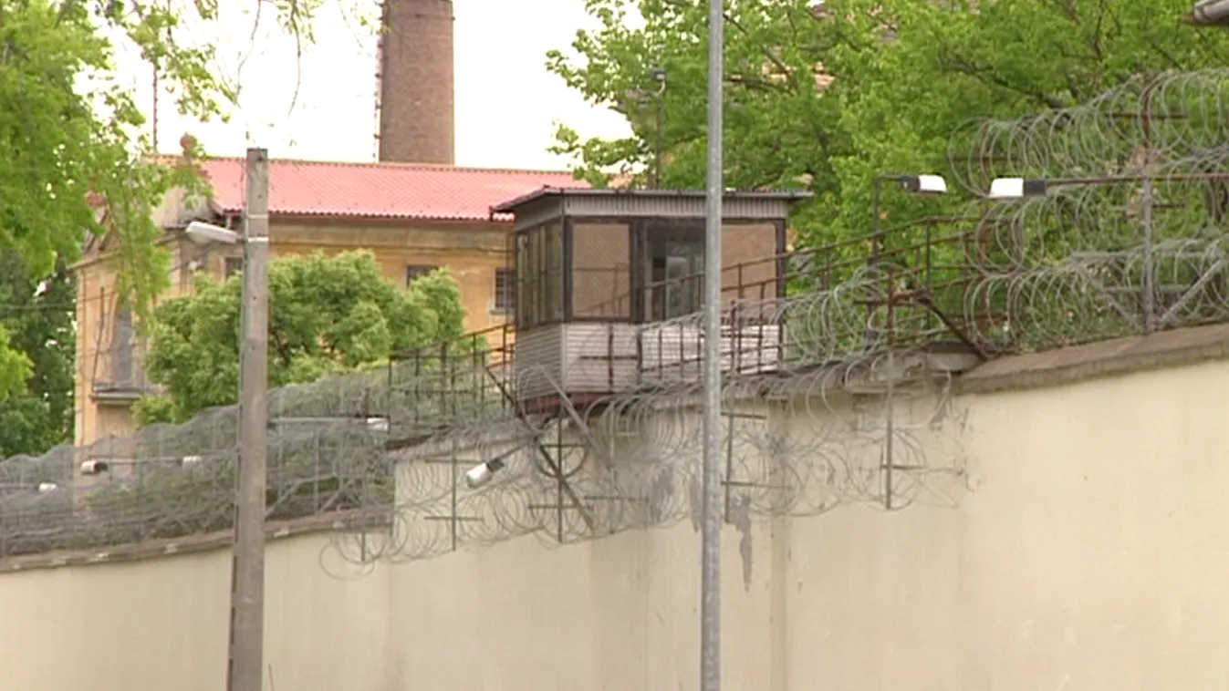 Radar - Ez vár a rendőrgyilkosra az elmegyógyintézetben