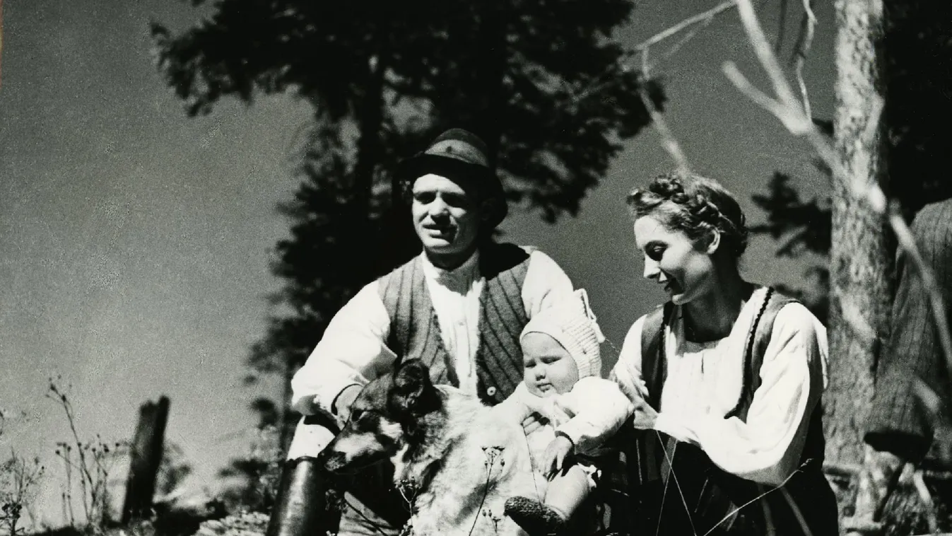 A törvény nem tudja, amit münk tudunk