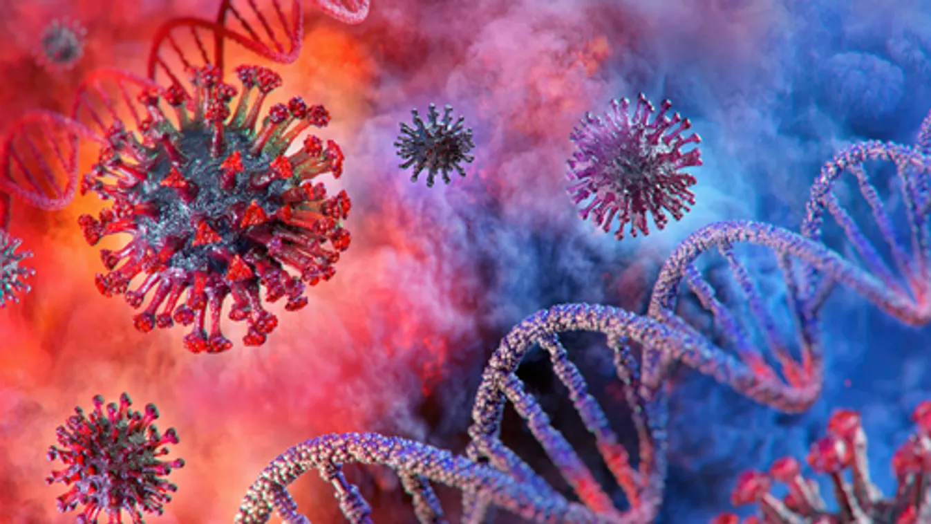 Elhunyt 6 idős krónikus beteg, az aktív fertőzöttek száma 1576 főre csökkent