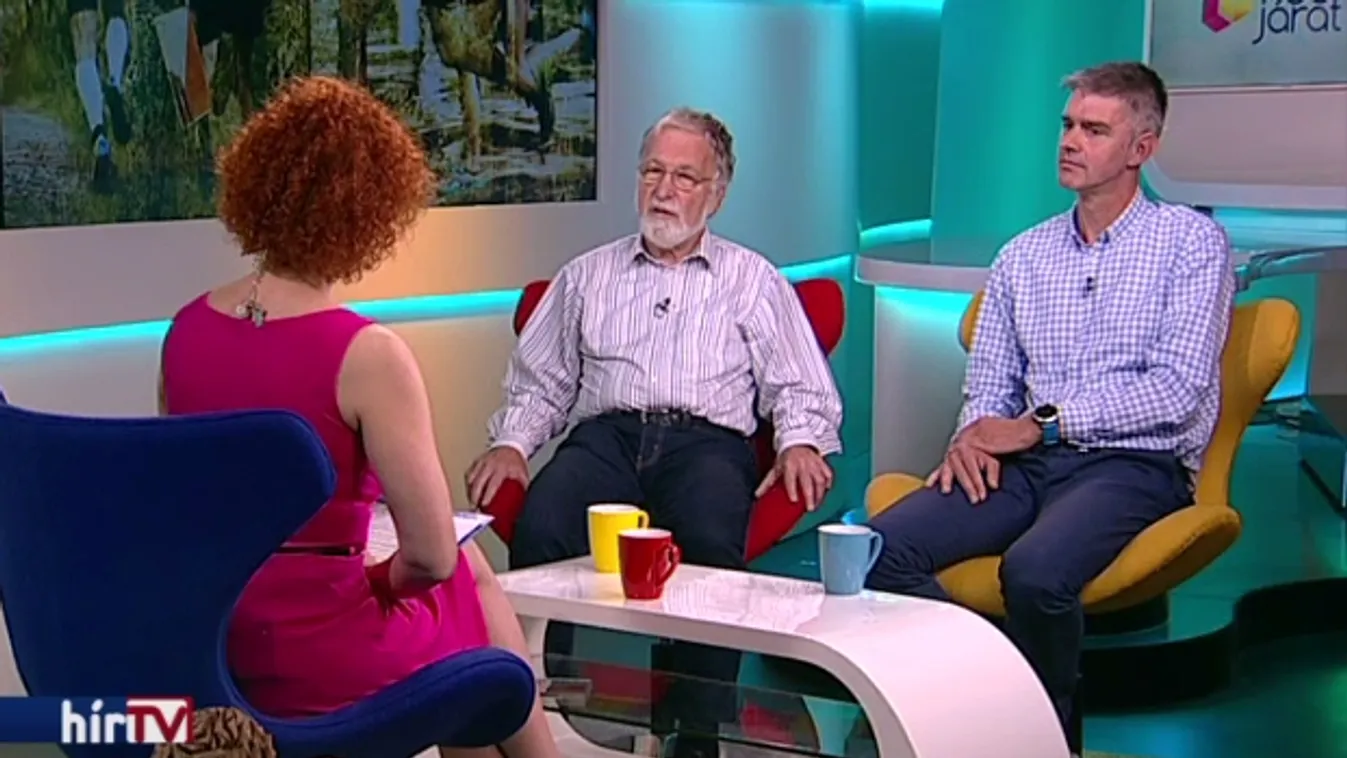 Tájfutás világnapja