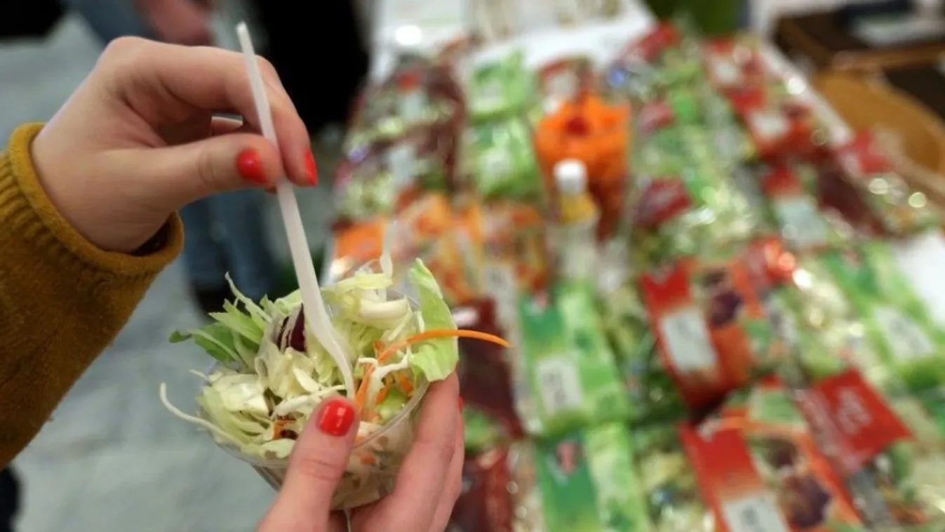 Saláta – Felfedező