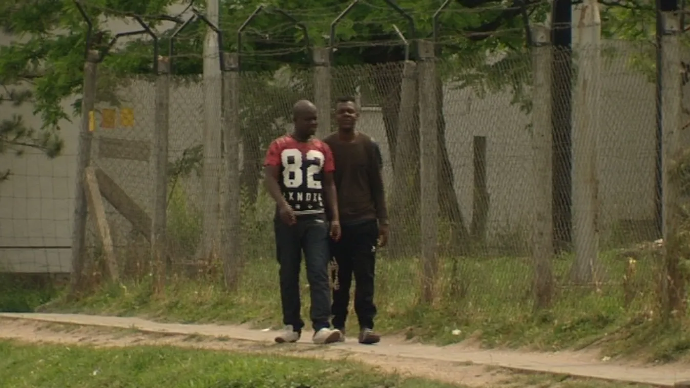 Soha ennyi menekült nem kapott még oltalmazotti státust