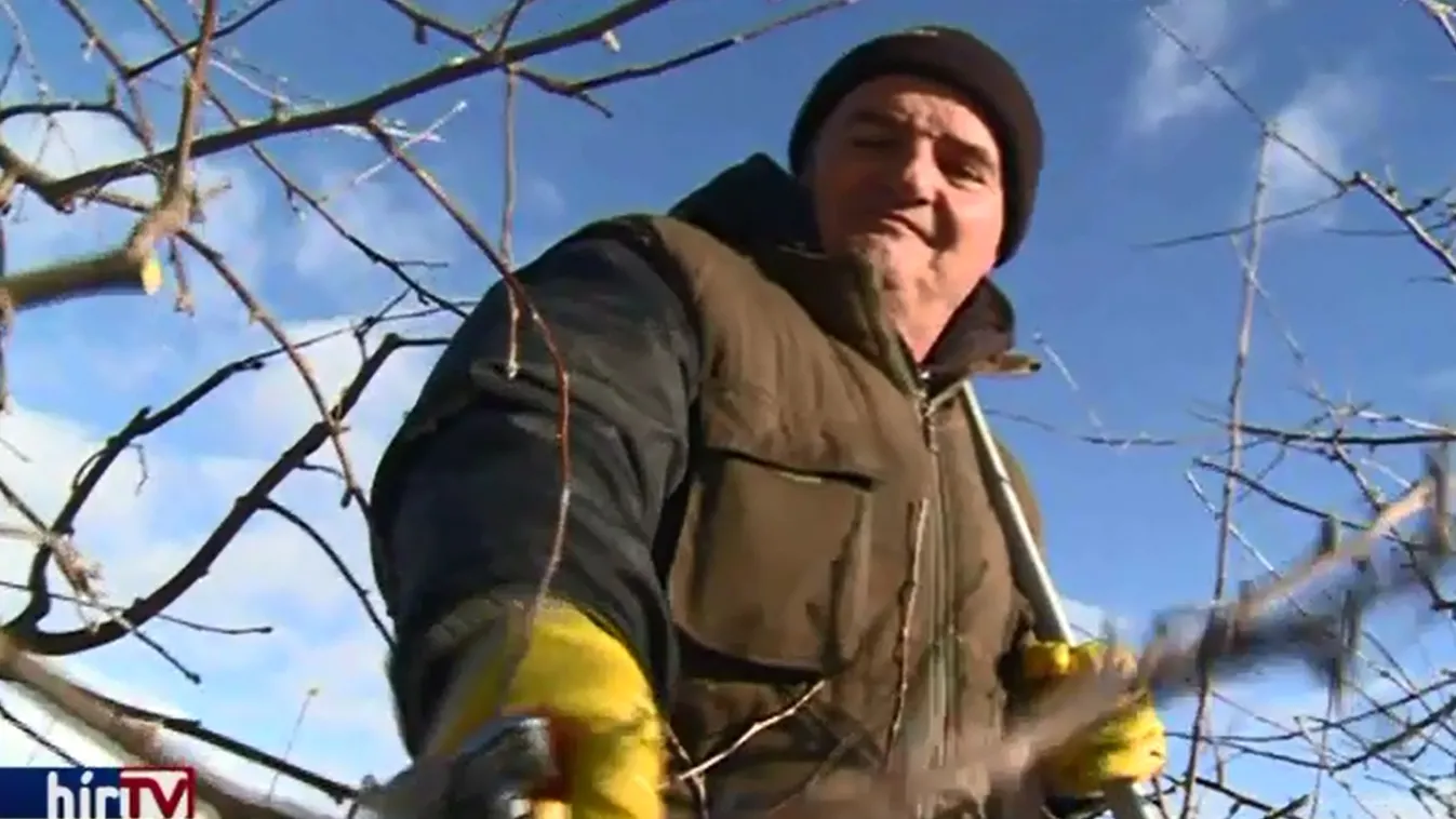 Törekvés a jobb minőségre