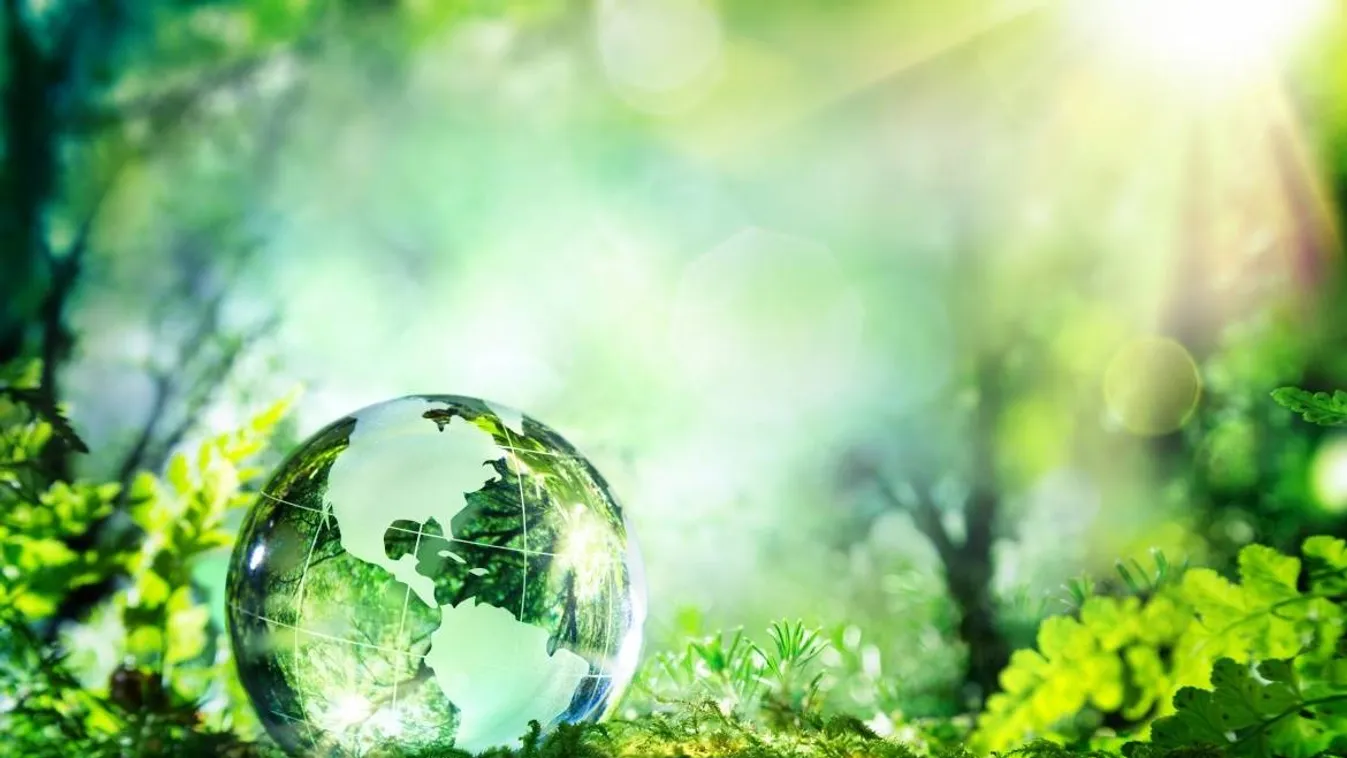 Jelentősen visszaveti a természetvédelmi erőfeszítéseket a világjárvány