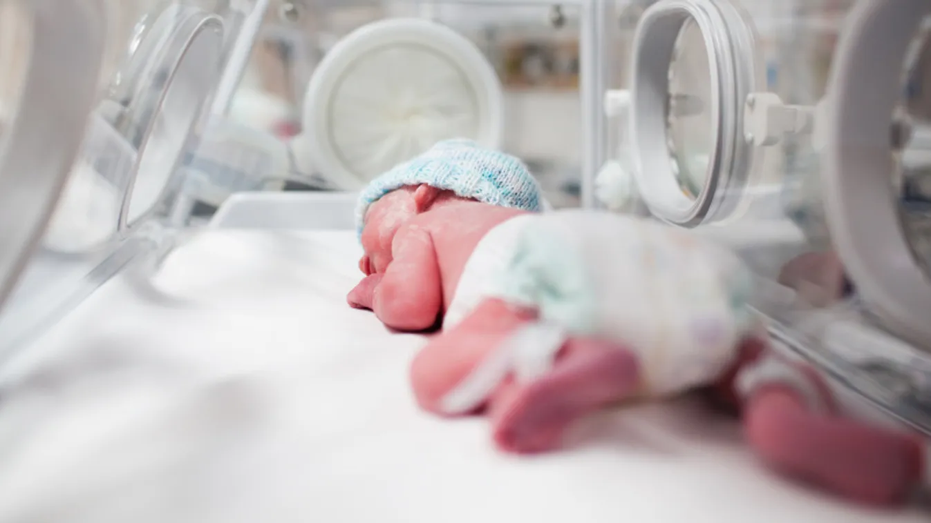 Ma van a koraszülöttek világnapja