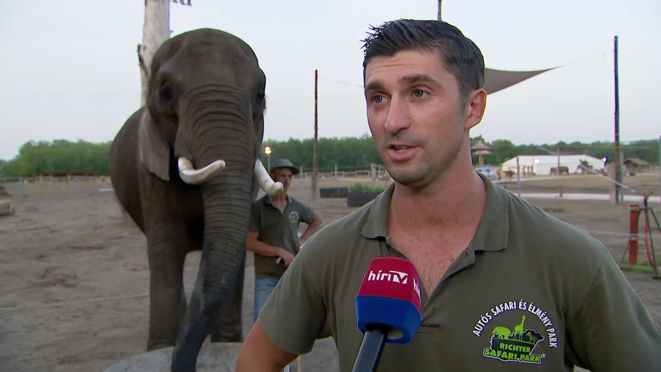 Radar - Éjszaka a Safari Parkban