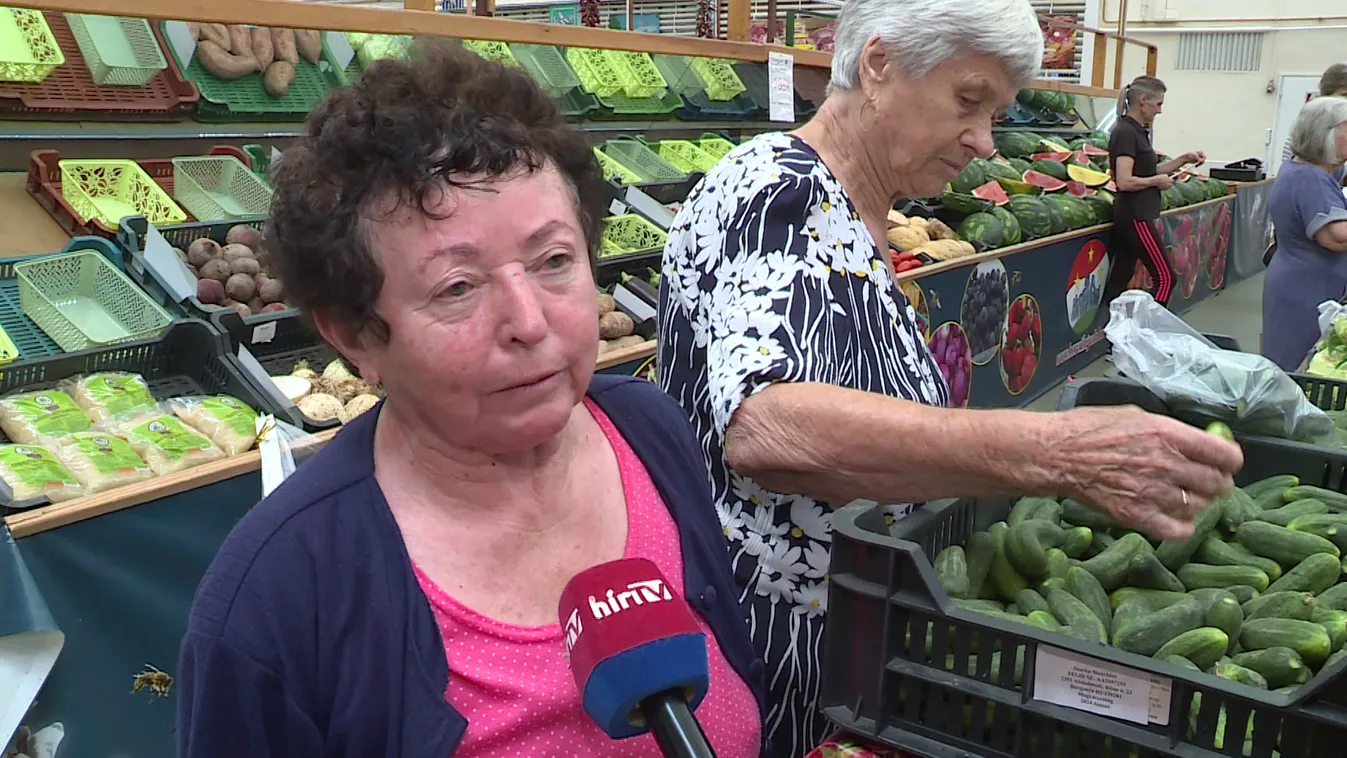 Nagy a kereslet a jó minőségű uborka iránt + videó