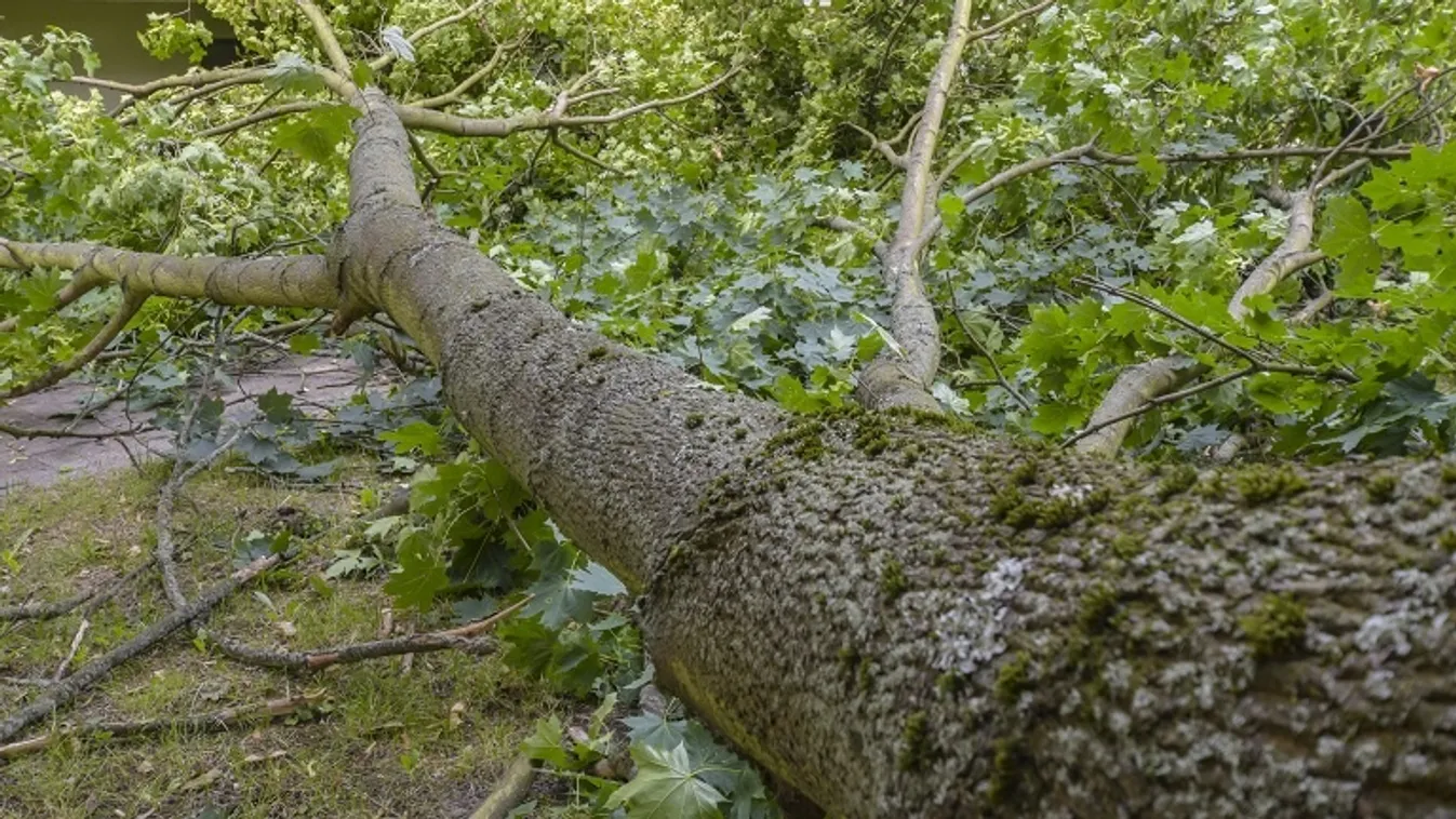 Több Budapestet érintő repülőjáratot kellett törölni