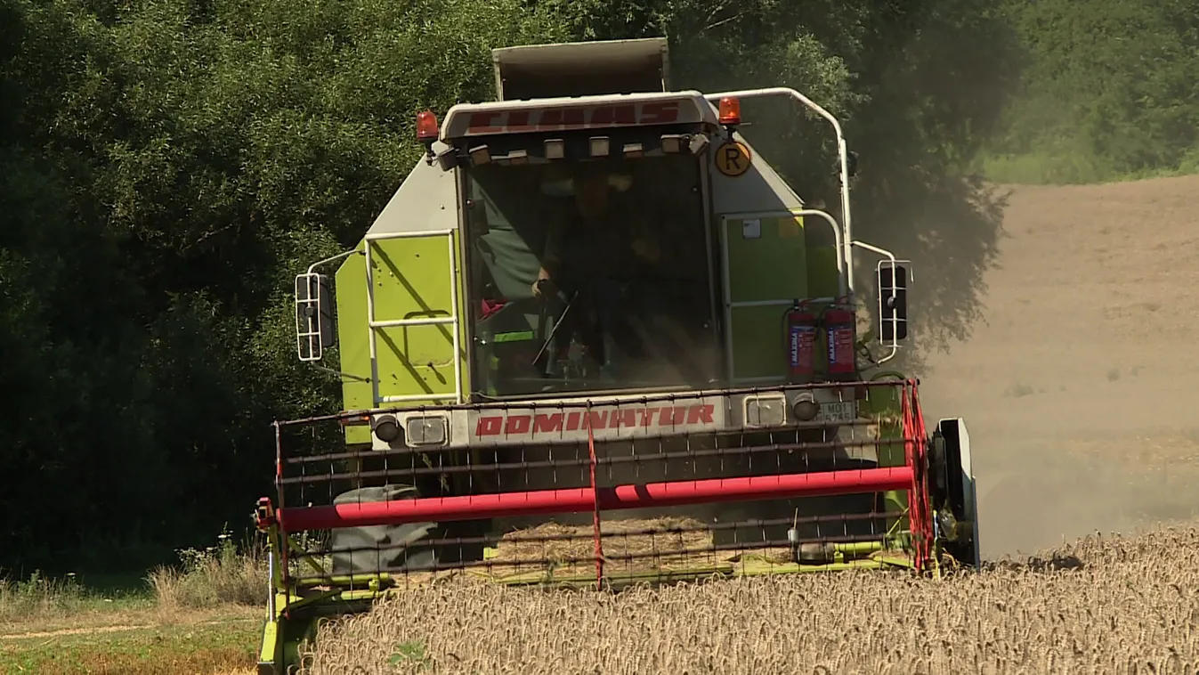 Idén korábban fejeződött be a kalászosok betakarítása