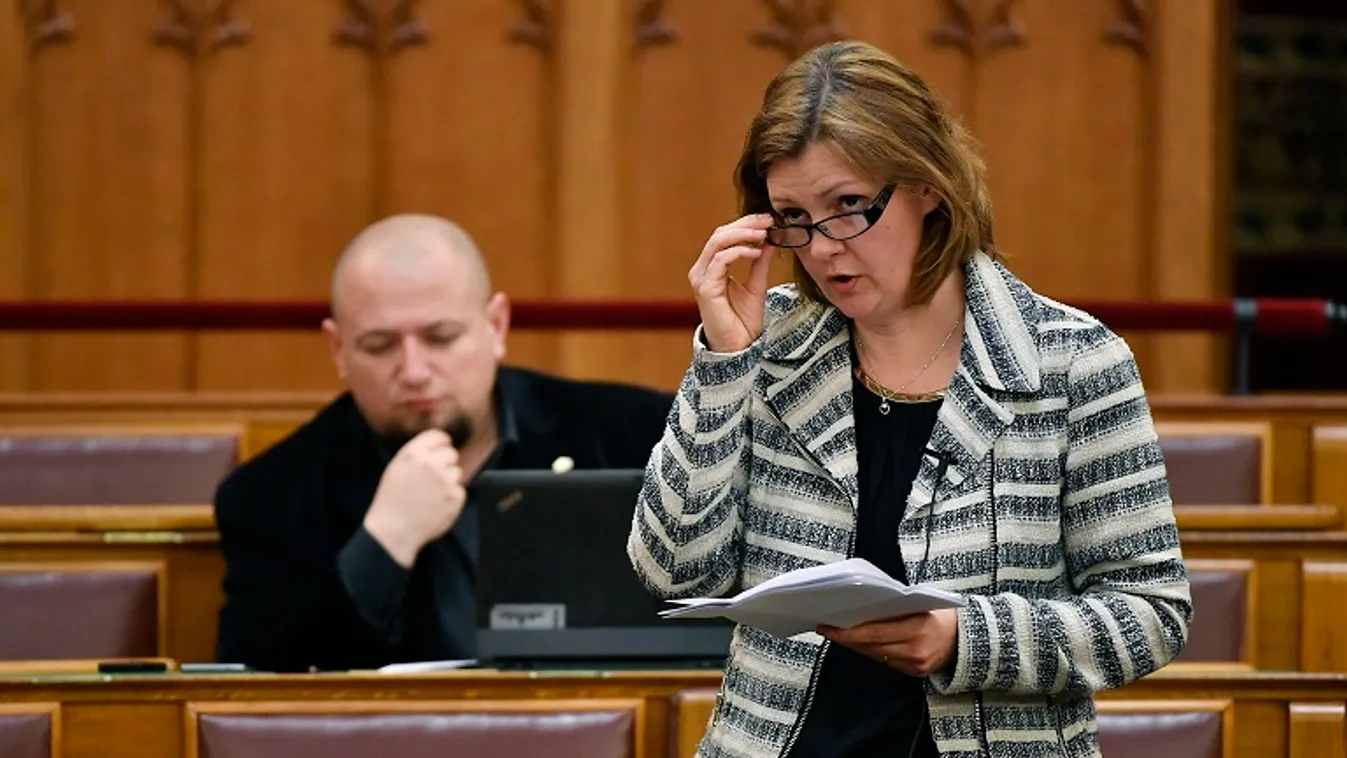 Lemondott parlamenti mandátumáról Hegedűs Lorántné