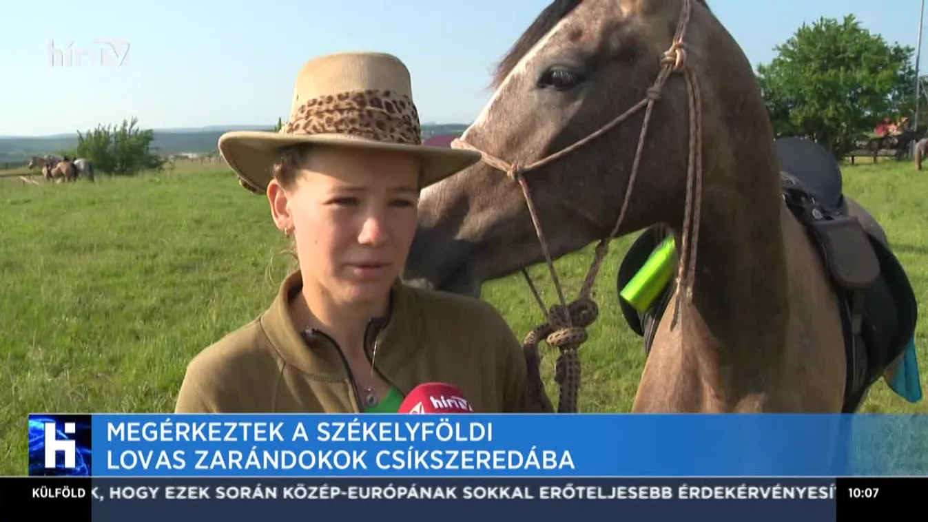 Megérkeztek a székelyföldi lovaszarándokok Csíkszeredára