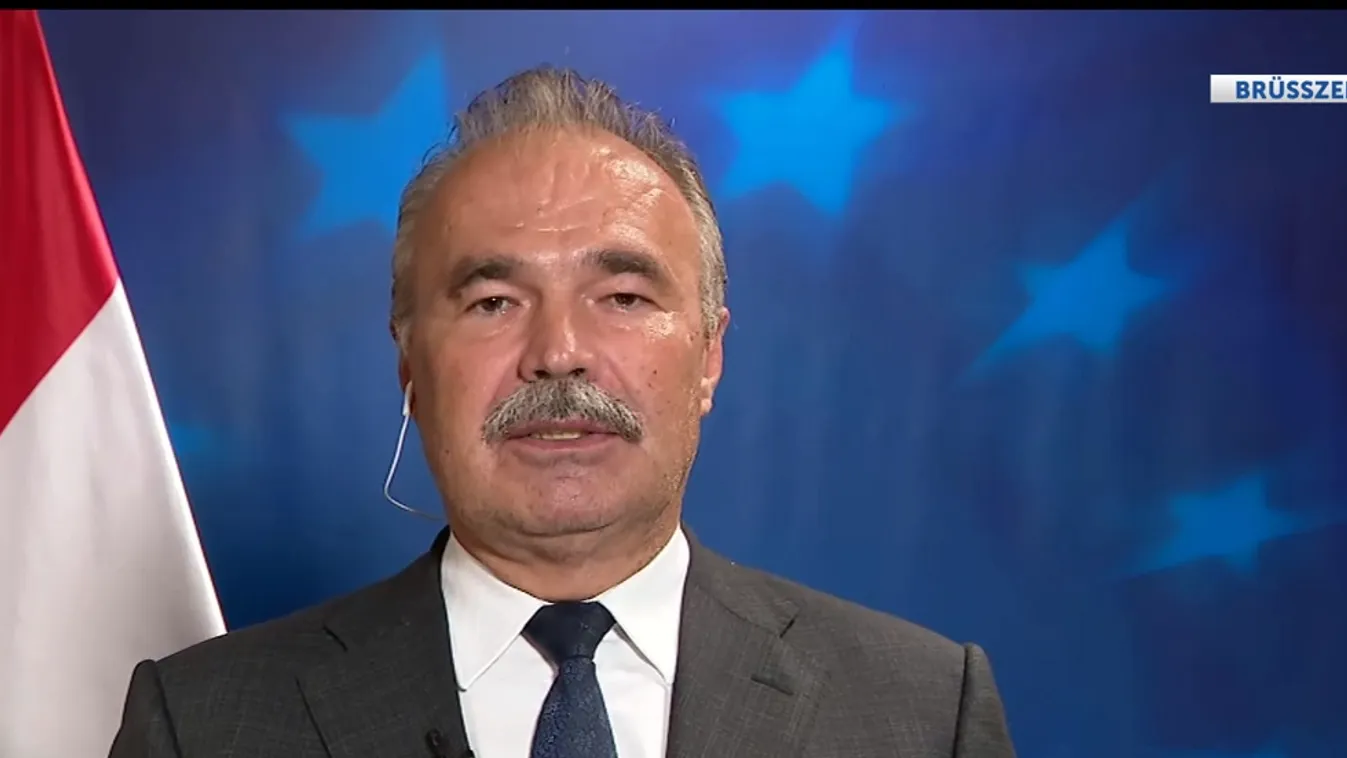 Nagy István: Az ukránnak nevezett gazdák valójában amerikai, szaúdi és holland cégek