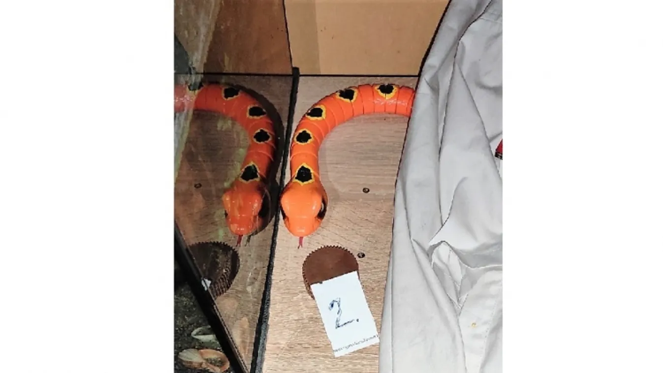 Kábítószerrel kereskedtek, most gyanúsítottak