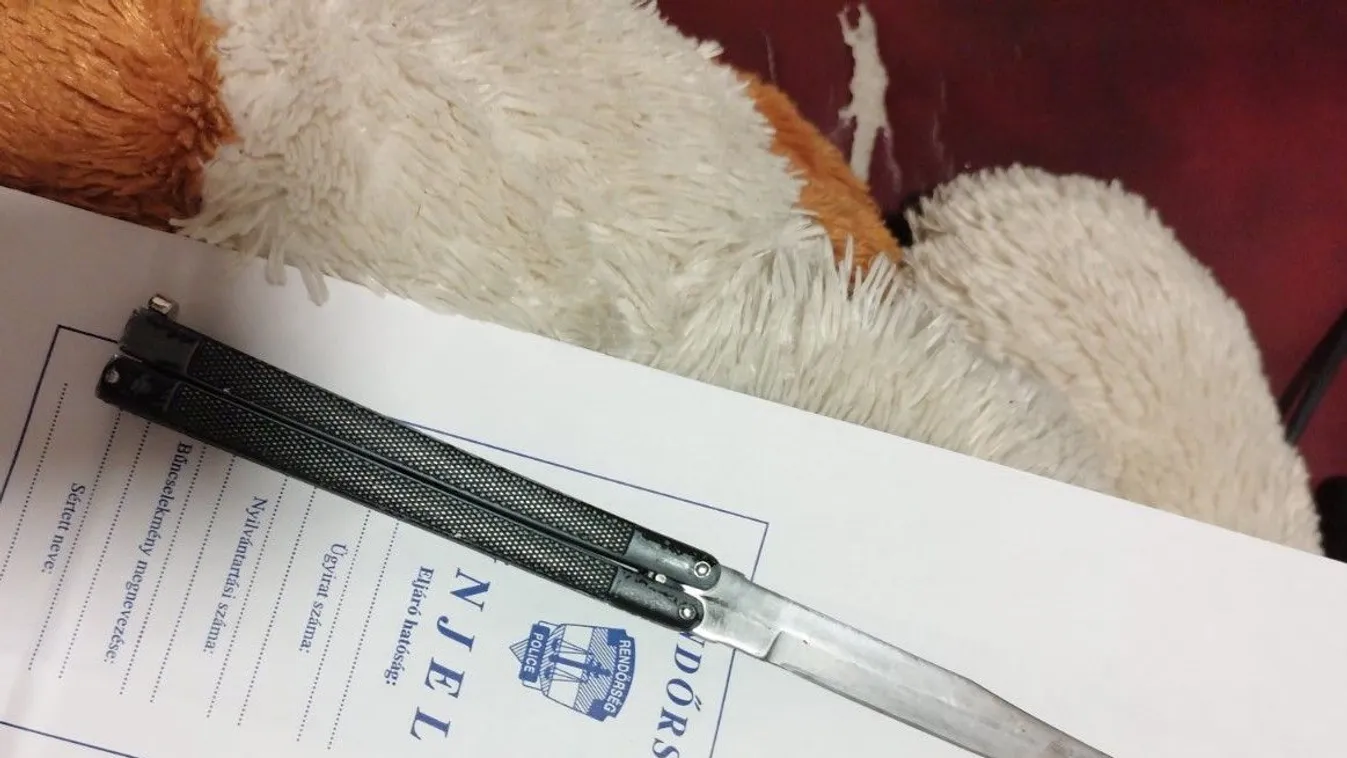 Vádat emeltek az Erzsébet téri halálos késelés ügyében