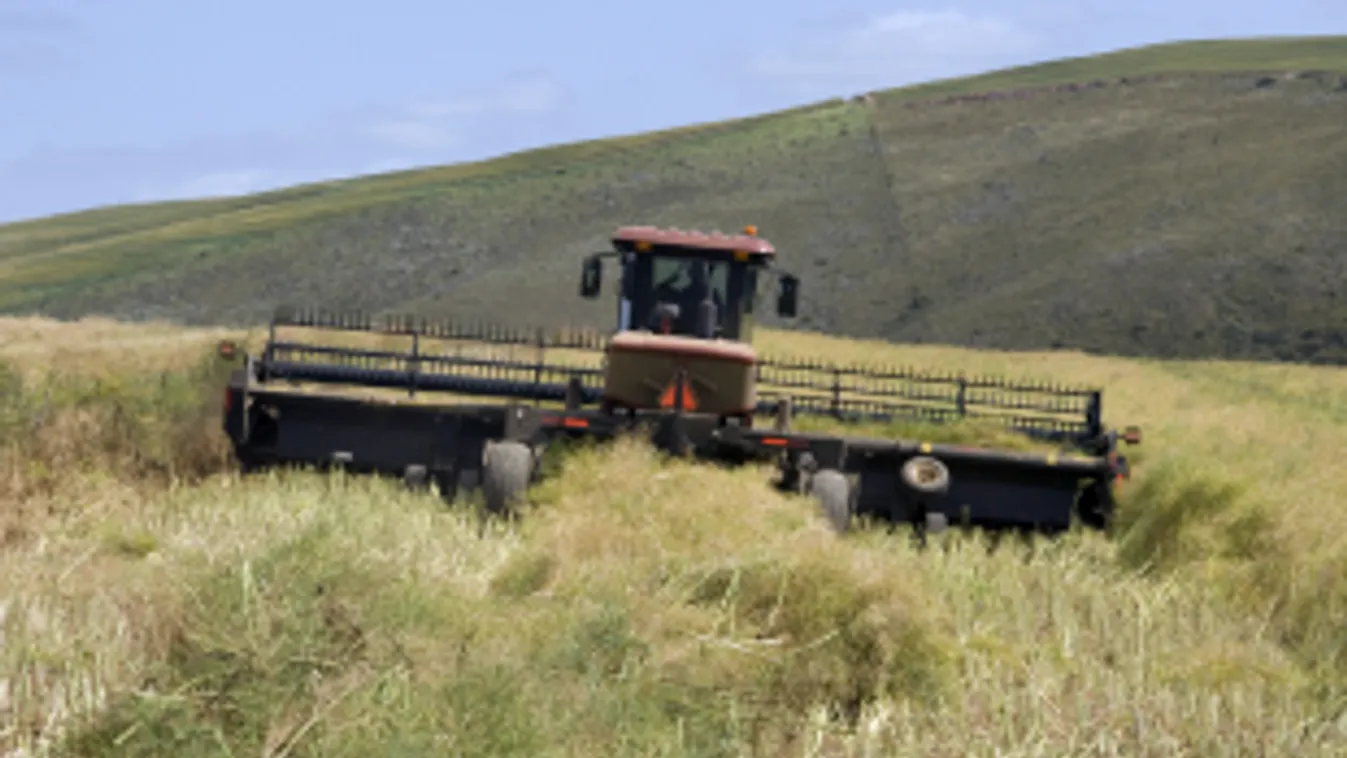 Nagy István: a magyar agráriumban elkerülhetetlen a nemzedékváltás