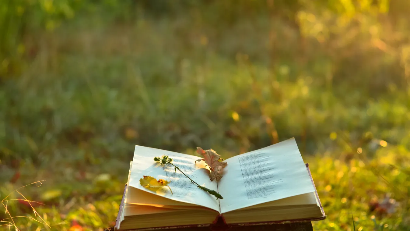 A magyar költészet napja - Versfolyam, könyvtári játék és irodalmi, zenés estek Békés vármegyében