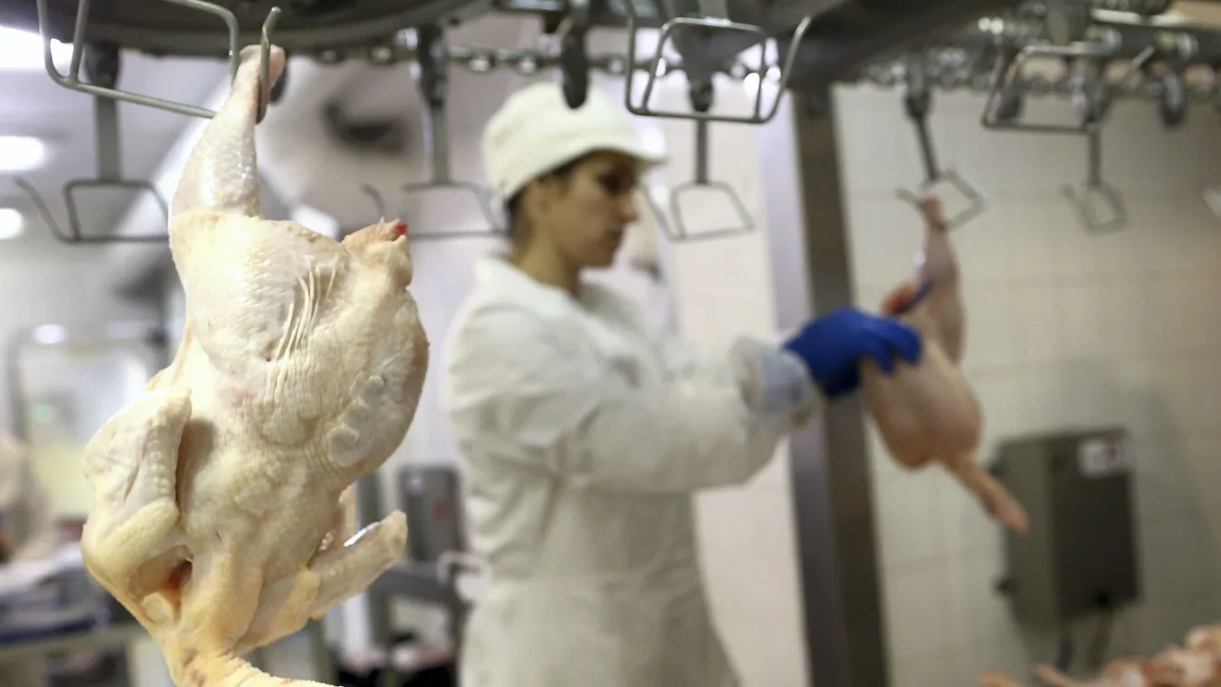 Kissé bizonytalan a Fülöp-szigeteki húsexport sorsa