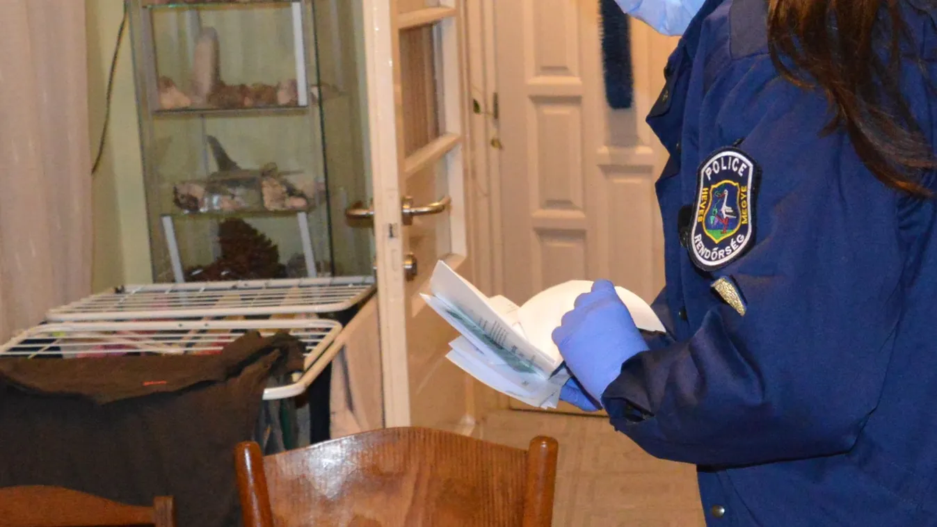 Oltási igazolásokkal üzleteltek, őrizetbe vették őket