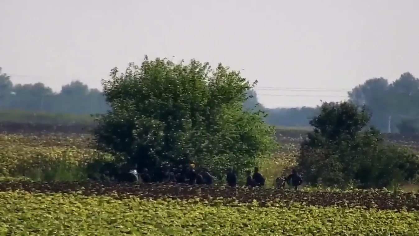Ismét rendőrökre támadtak a határnál