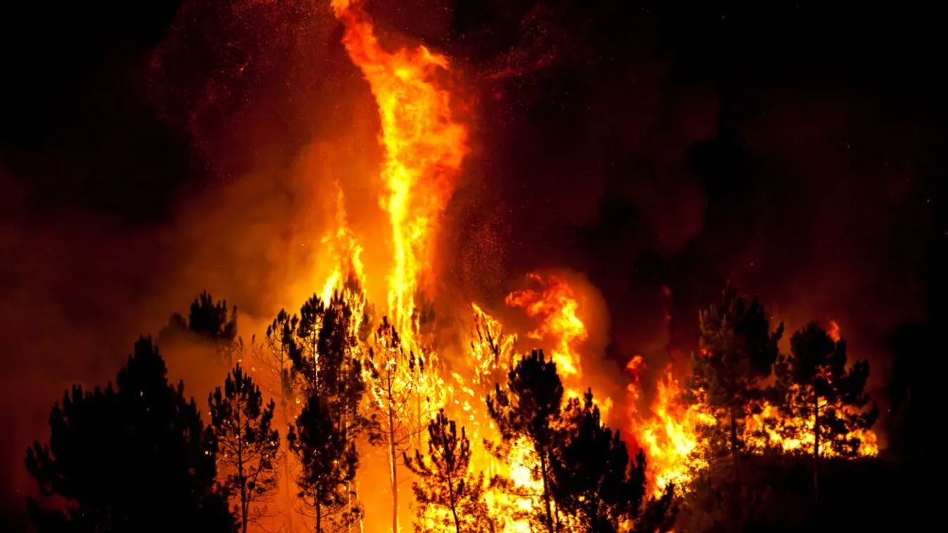 Portugáliát sújtják a legjobban az erdőtüzek Európában