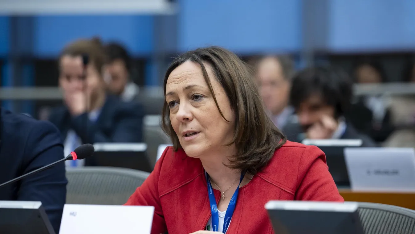 Ukrán szélsőségesek fenyegették meg a Mi Hazánk európai parlamenti képviselőjét  + videó