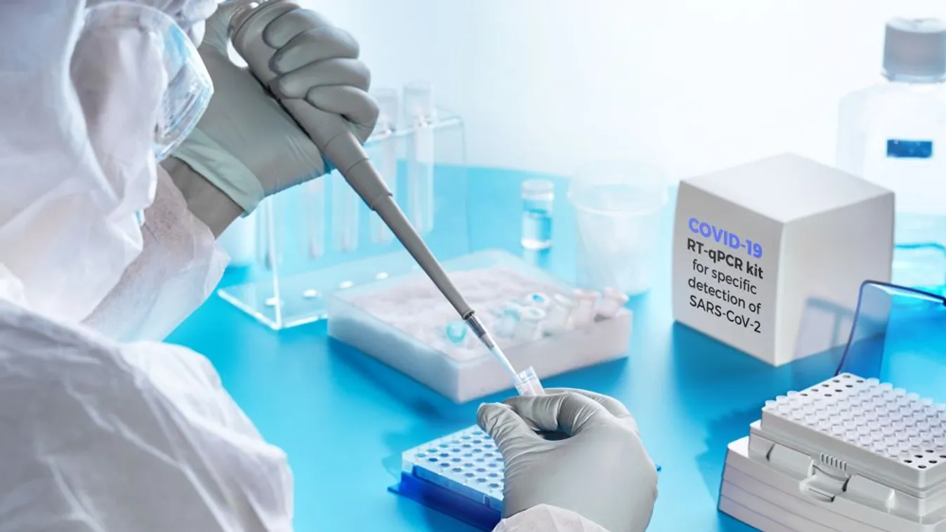 A SARS-COV-2 vírus ellen hatékony, parányi antitestkomponenst találtak amerikai kutatók