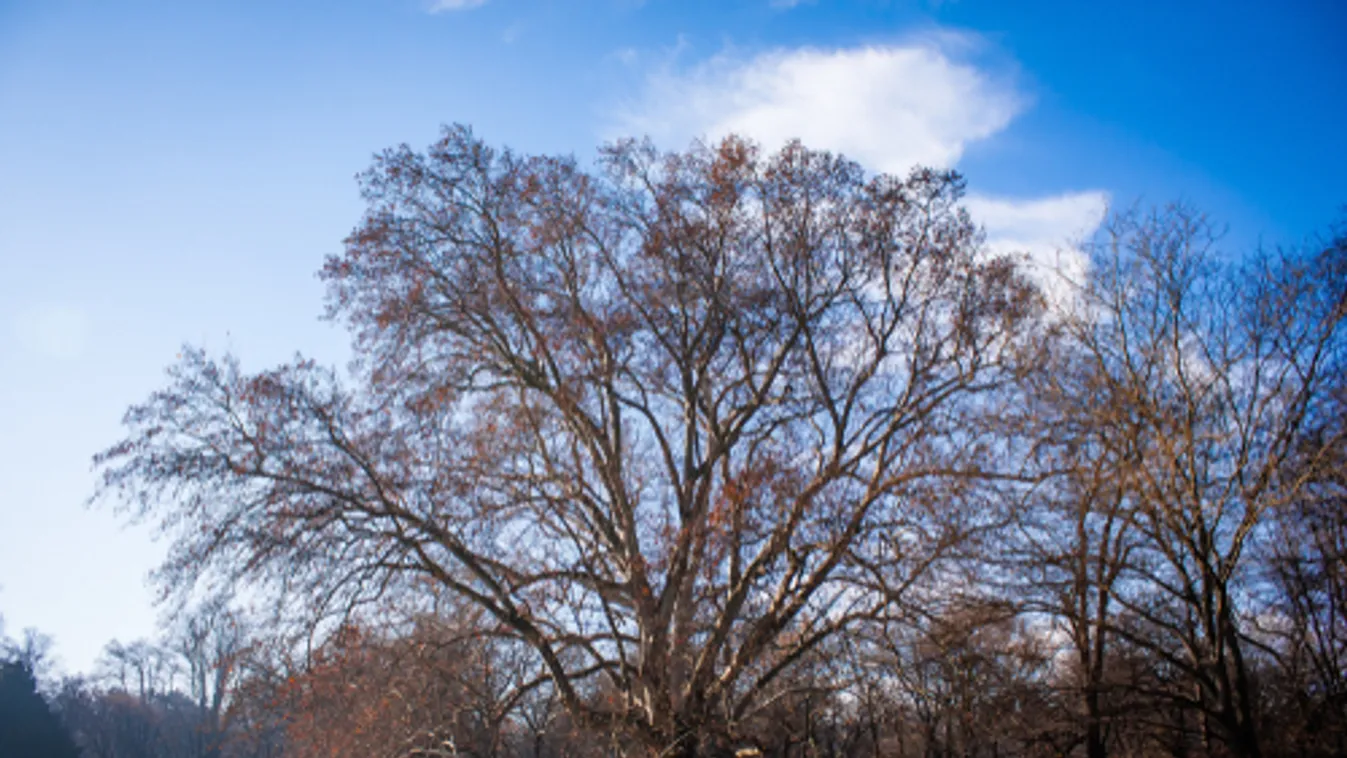 Országszerte kitisztult a levegő