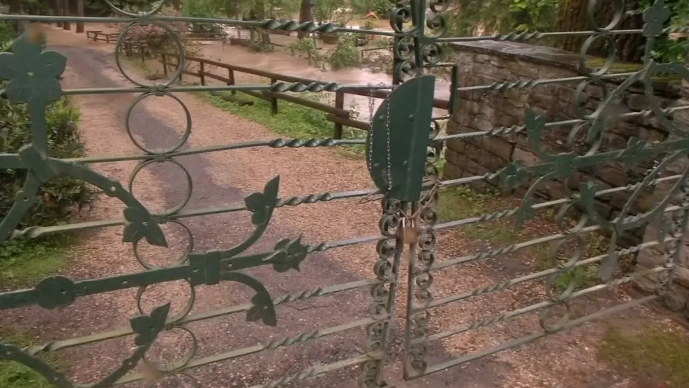 Mégsem szöktek meg a nagymacskák, csak egy medve