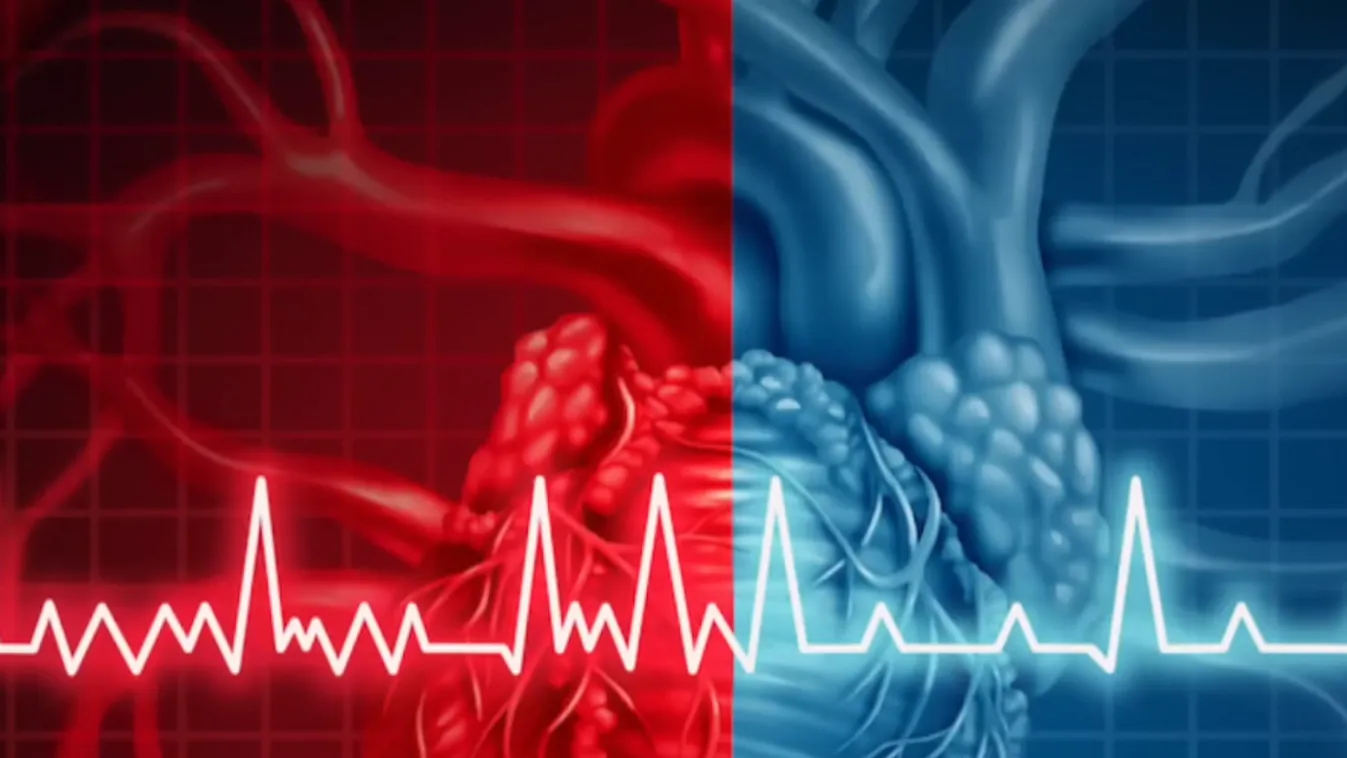 Radar - Halálos sport + videó