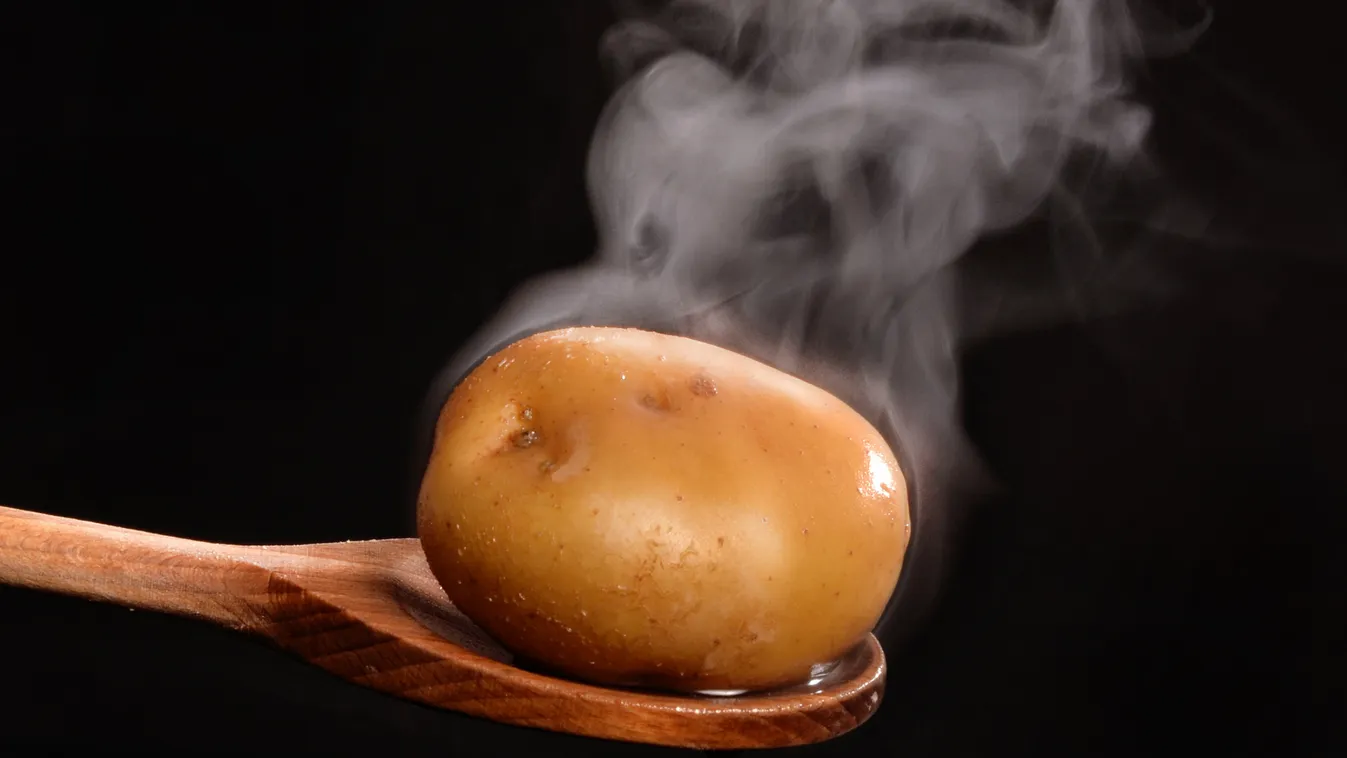 Mindegyik tagállam igyekszik letagadni, hogy vásárolna orosz LNG-t + videó