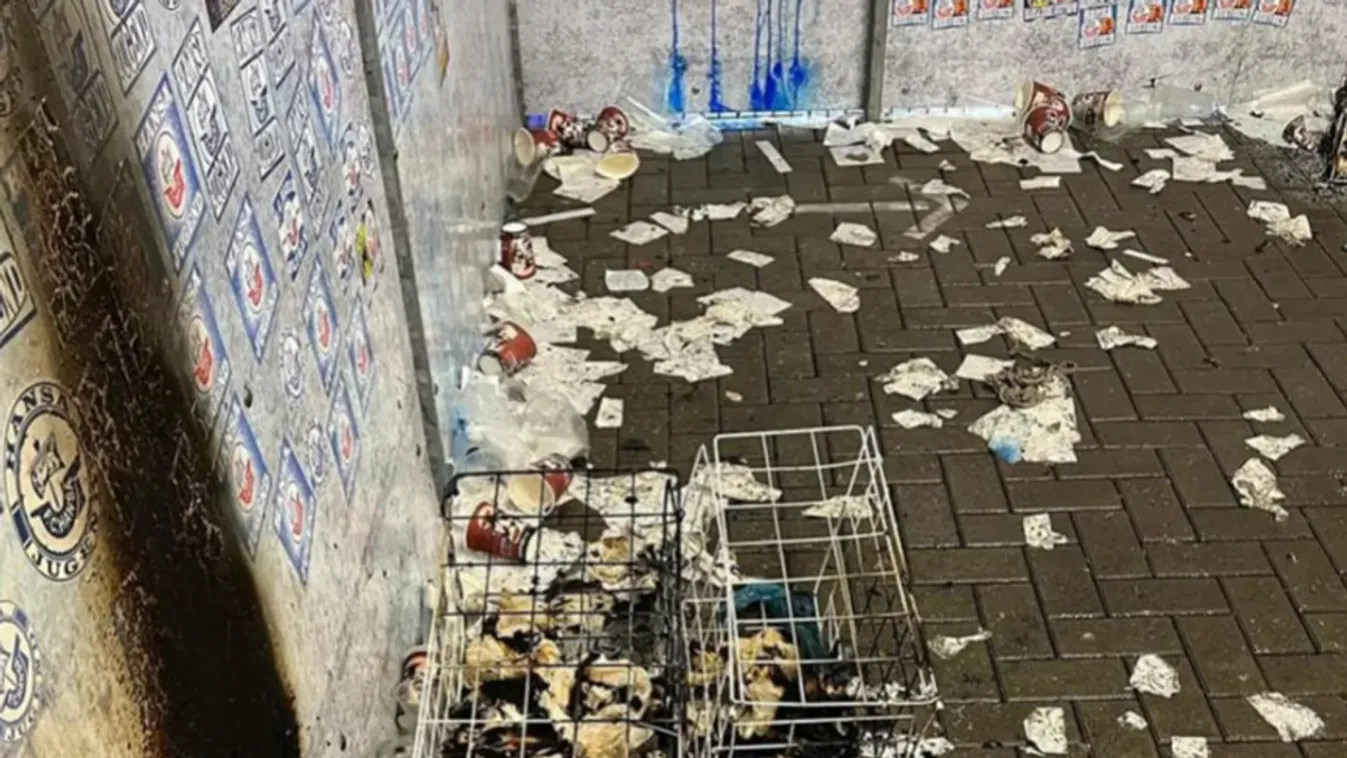 Elképesztő mocskot hagytak maguk után a német szurkolók + videó, képek