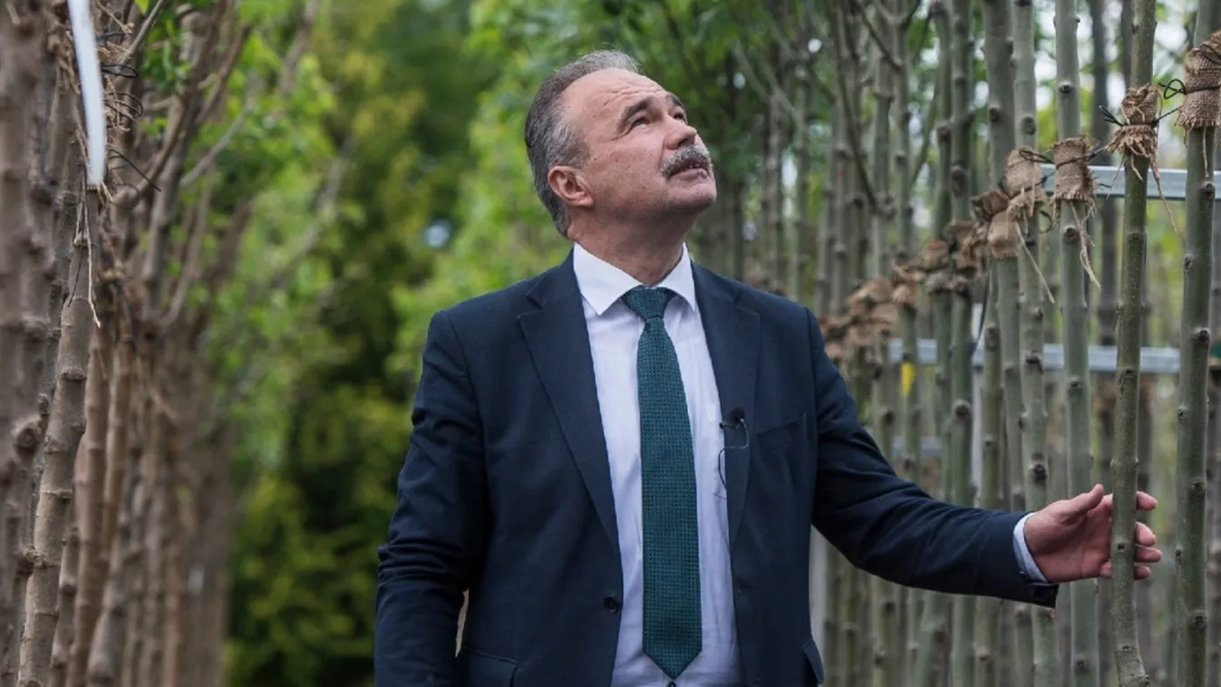 Az év elején elkezdődik a Településfásítási program harmadik üteme