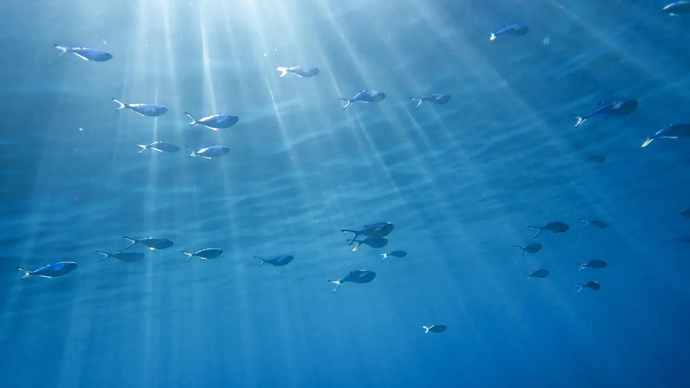 Soha ilyen meleg nem volt még a Földközi-tenger hőmérséklete