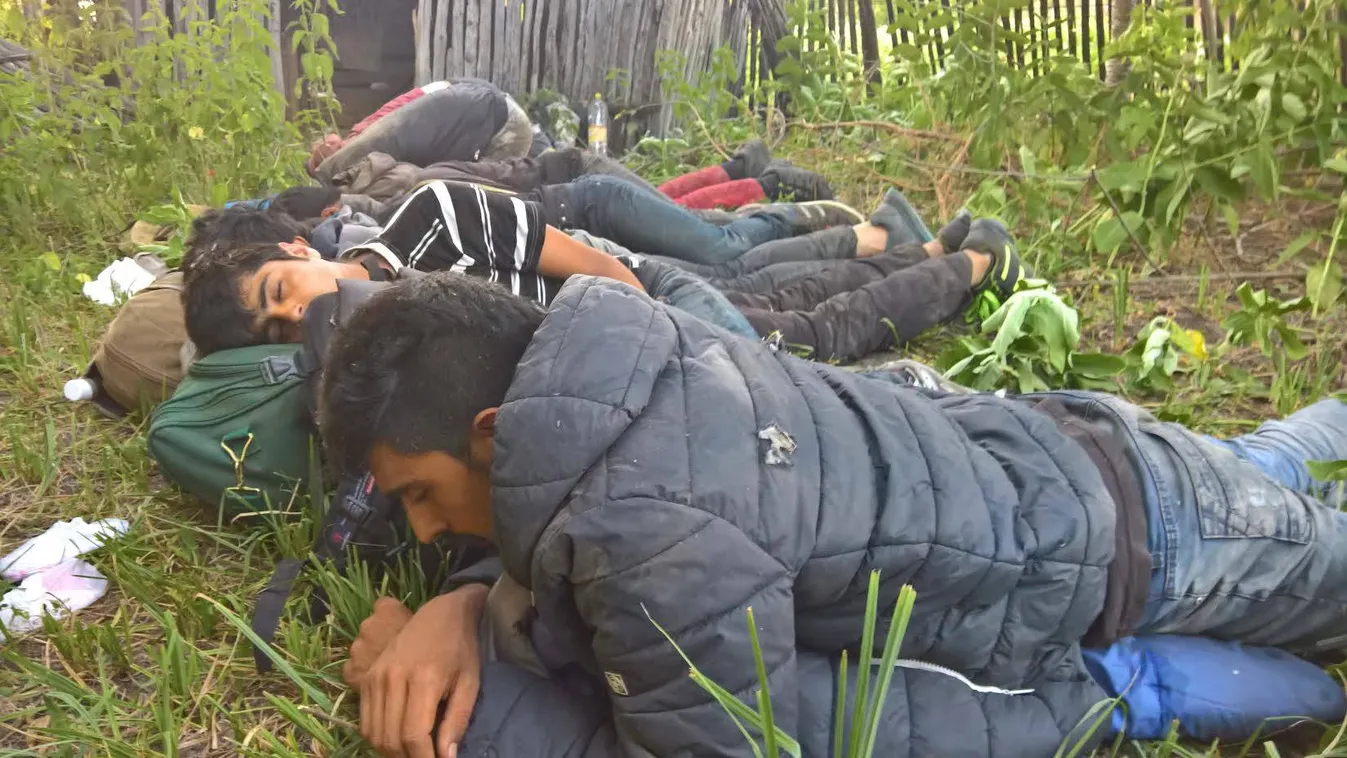 Szigetvári szerint Toroczkai mezőőrei önbíráskodtak