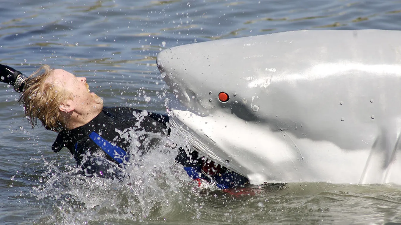 Cápatámadásban meghalt egy férfi Ausztráliában.