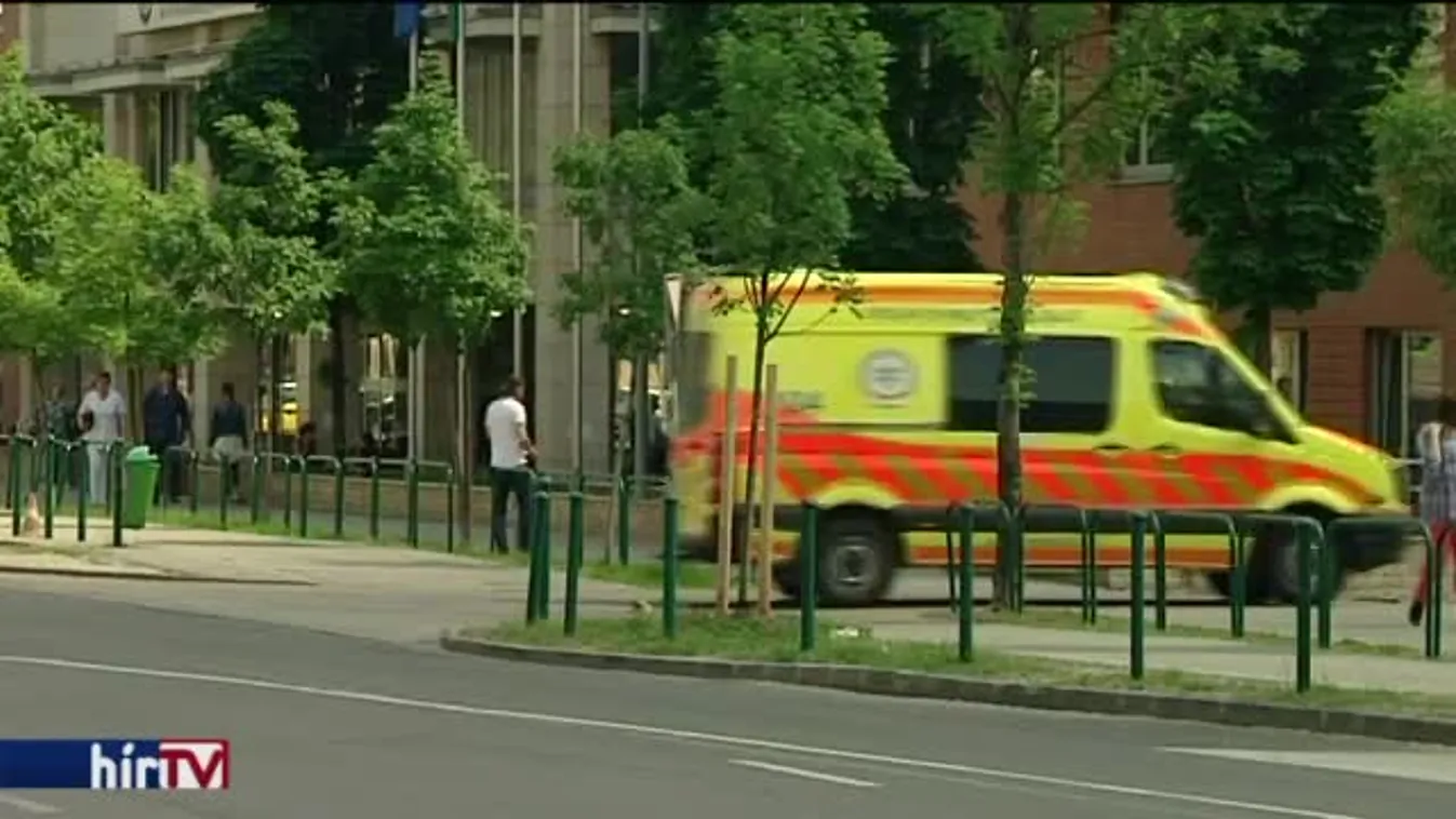 „Az egész annyira furcsa, bizarr és perverz”