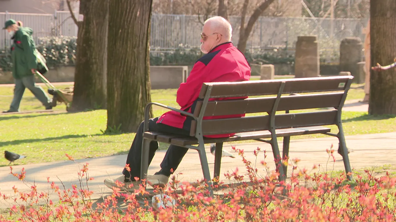 A brüsszeli nyugdíjpolitika mintáját követi a Tisza Párt + videó