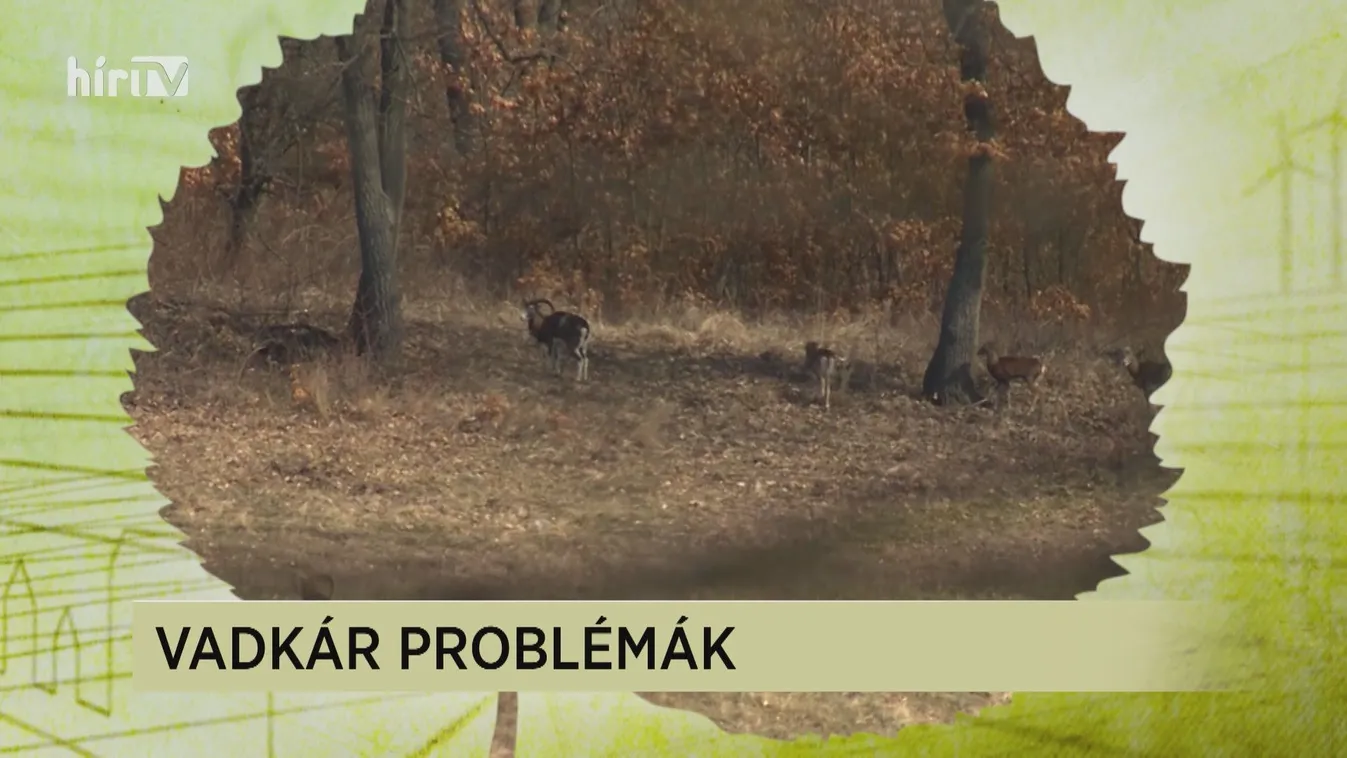 Soroló: A tél végi vadkárok felmérése