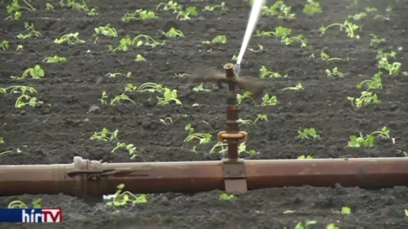 Szelídül a rendelet