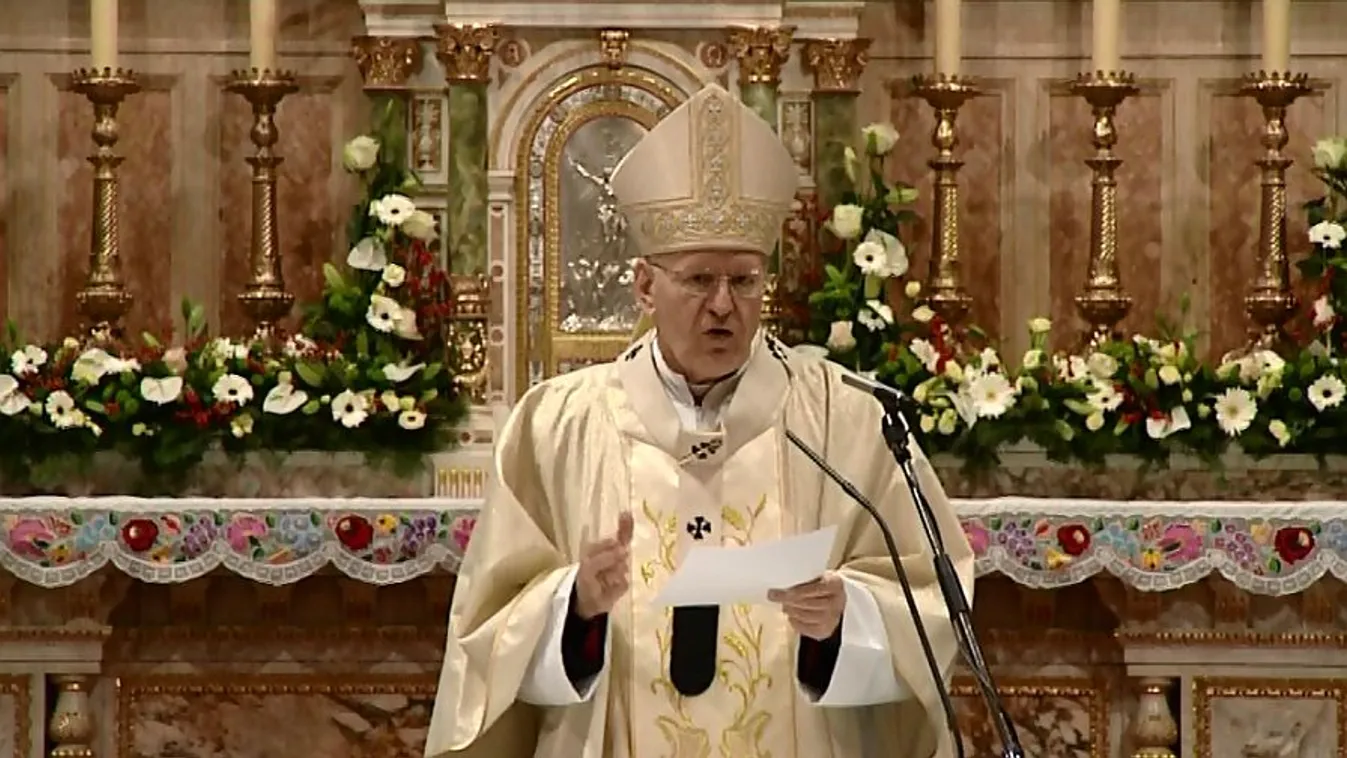 Erdő Péter: Isten egyetlen nagy népet alkot az emberiségből