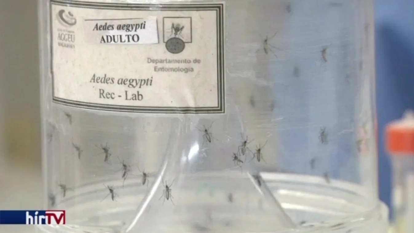 Az ENSZ a zika miatt nem fújja le az olimpiát