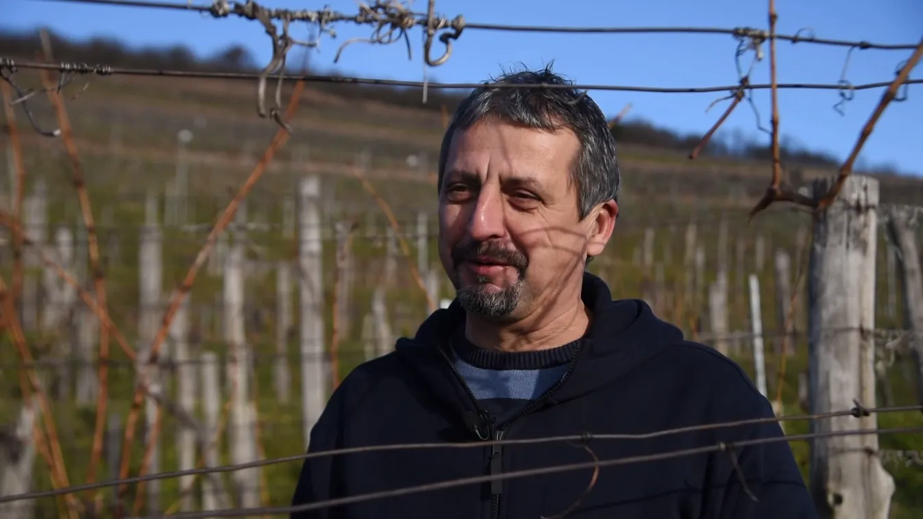 Radar - Vince-napon több száz éves szokásokat elevenítenek fel