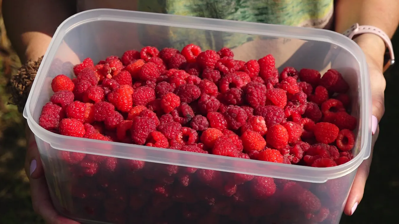 Radar - A pici ár töredékéért juthatunk gyümölcshöz