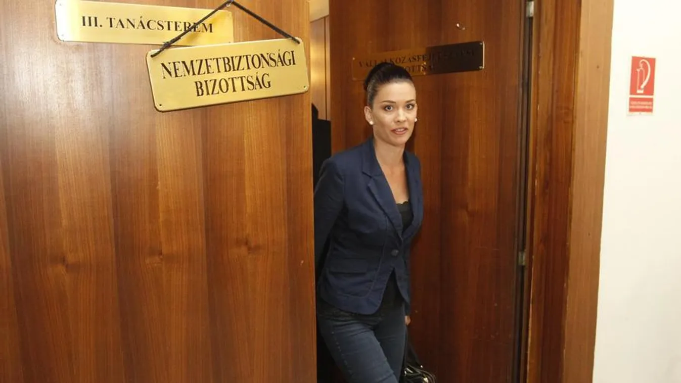 Demeter megregulázná a szolgálatokat